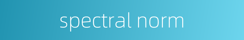 spectral norm的同义词