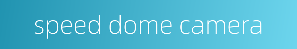 speed dome camera的同义词