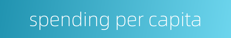 spending per capita的同义词
