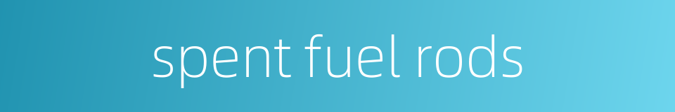 spent fuel rods的同义词