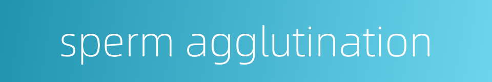 sperm agglutination的同义词