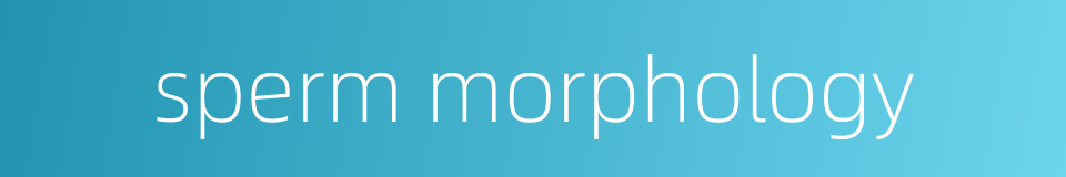 sperm morphology的同义词