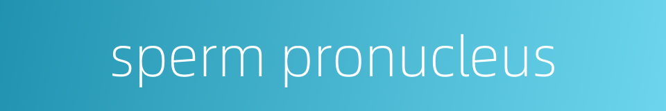 sperm pronucleus的同义词