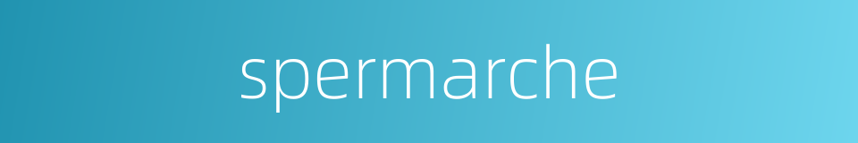 spermarche的同义词