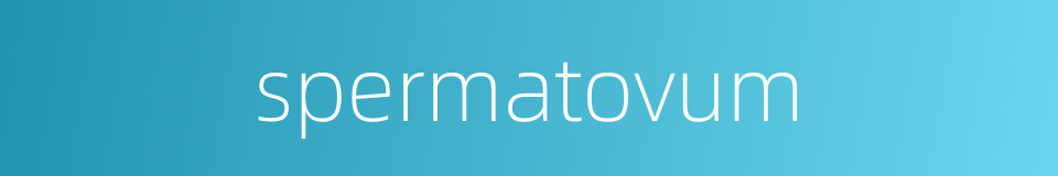 spermatovum的同义词