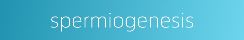 spermiogenesis的同义词