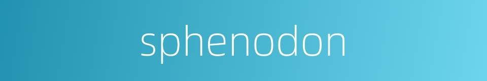 sphenodon的同义词