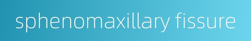 sphenomaxillary fissure的同义词