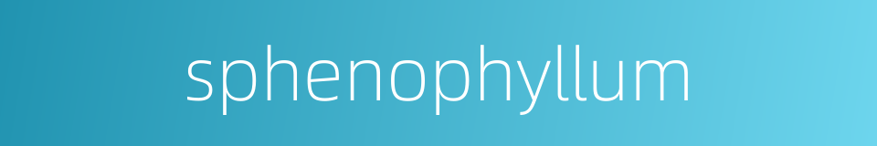 sphenophyllum的同义词