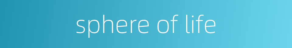 sphere of life的同义词