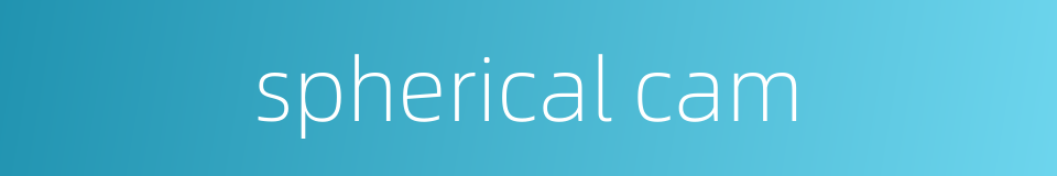 spherical cam的同义词