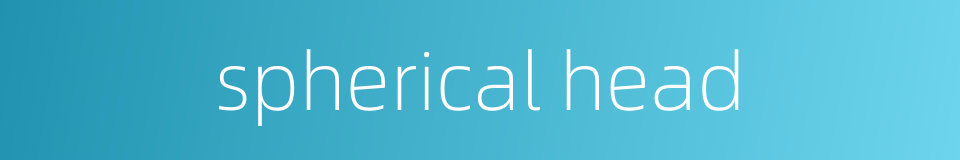 spherical head的同义词