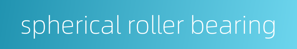spherical roller bearing的同义词