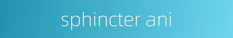 sphincter ani的同义词