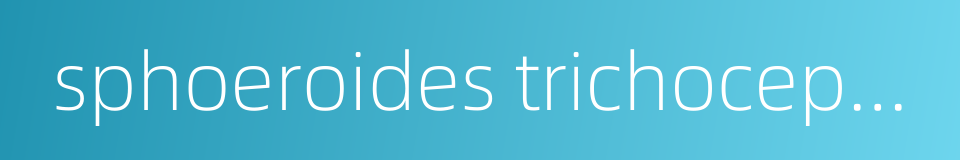 sphoeroides trichocephalus的同义词