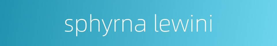 sphyrna lewini的同义词