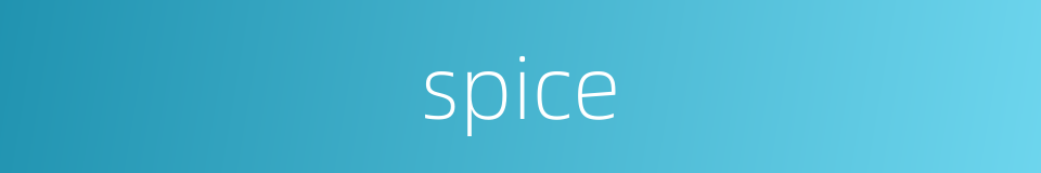 spice的同义词