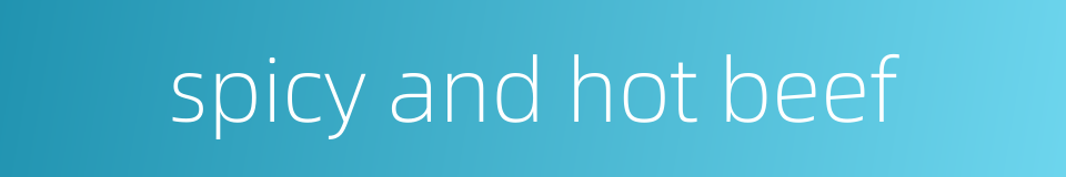 spicy and hot beef的同义词