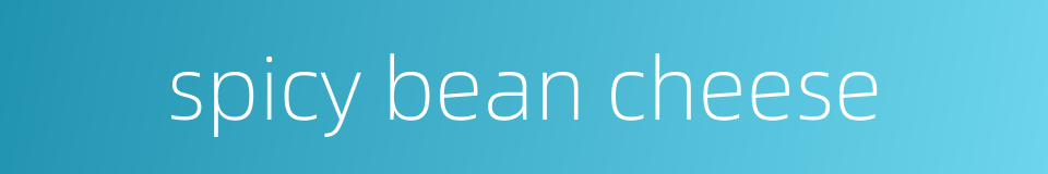 spicy bean cheese的同义词