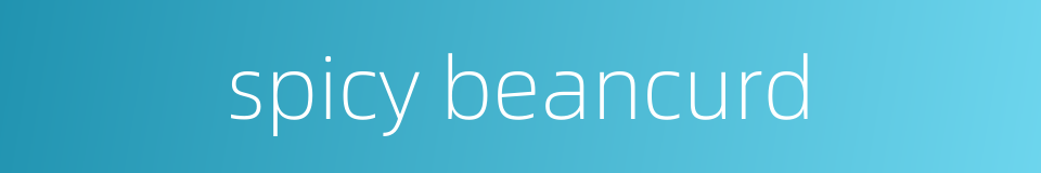 spicy beancurd的同义词