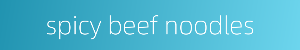 spicy beef noodles的同义词