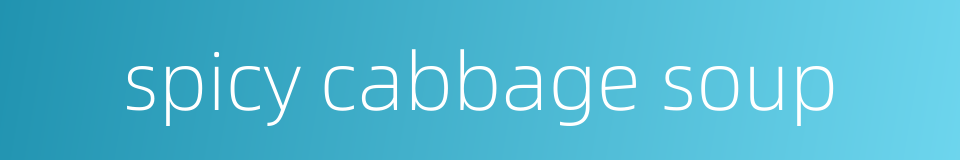 spicy cabbage soup的同义词