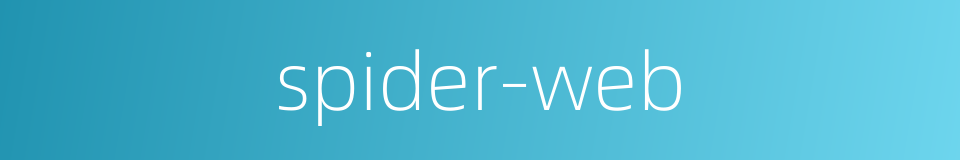 spider-web的同义词