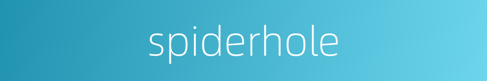 spiderhole的同义词