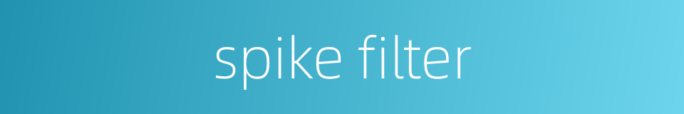 spike filter的同义词