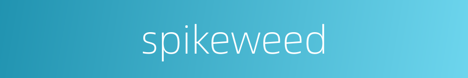 spikeweed的同义词