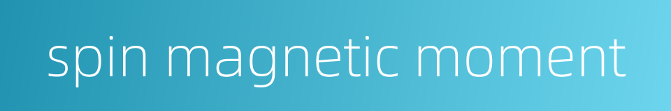spin magnetic moment的同义词