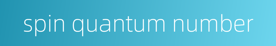 spin quantum number的同义词