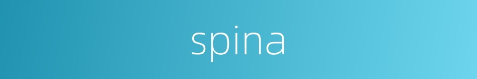 spina的同义词