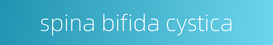 spina bifida cystica的同义词