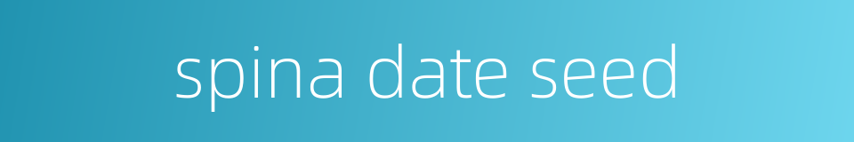 spina date seed的同义词