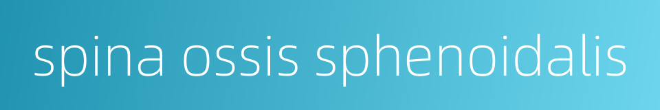 spina ossis sphenoidalis的同义词