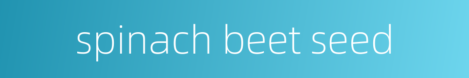 spinach beet seed的同义词