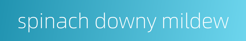 spinach downy mildew的同义词