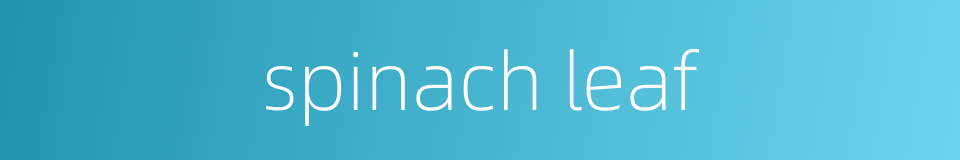 spinach leaf的同义词