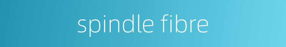 spindle fibre的同义词
