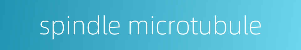 spindle microtubule的同义词