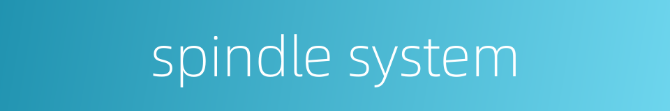 spindle system的同义词