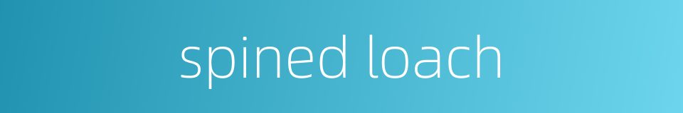 spined loach的同义词