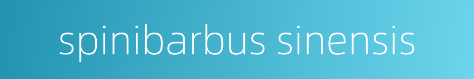 spinibarbus sinensis的同义词