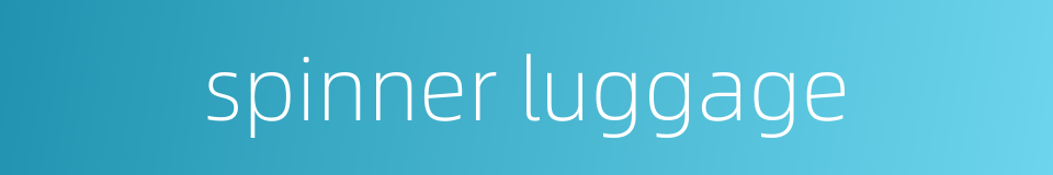 spinner luggage的同义词
