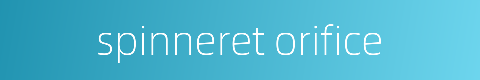 spinneret orifice的同义词