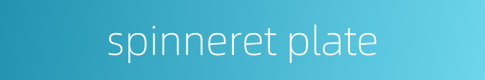 spinneret plate的同义词