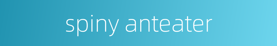 spiny anteater的同义词