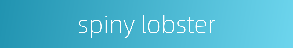 spiny lobster的同义词