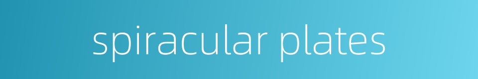 spiracular plates的同义词